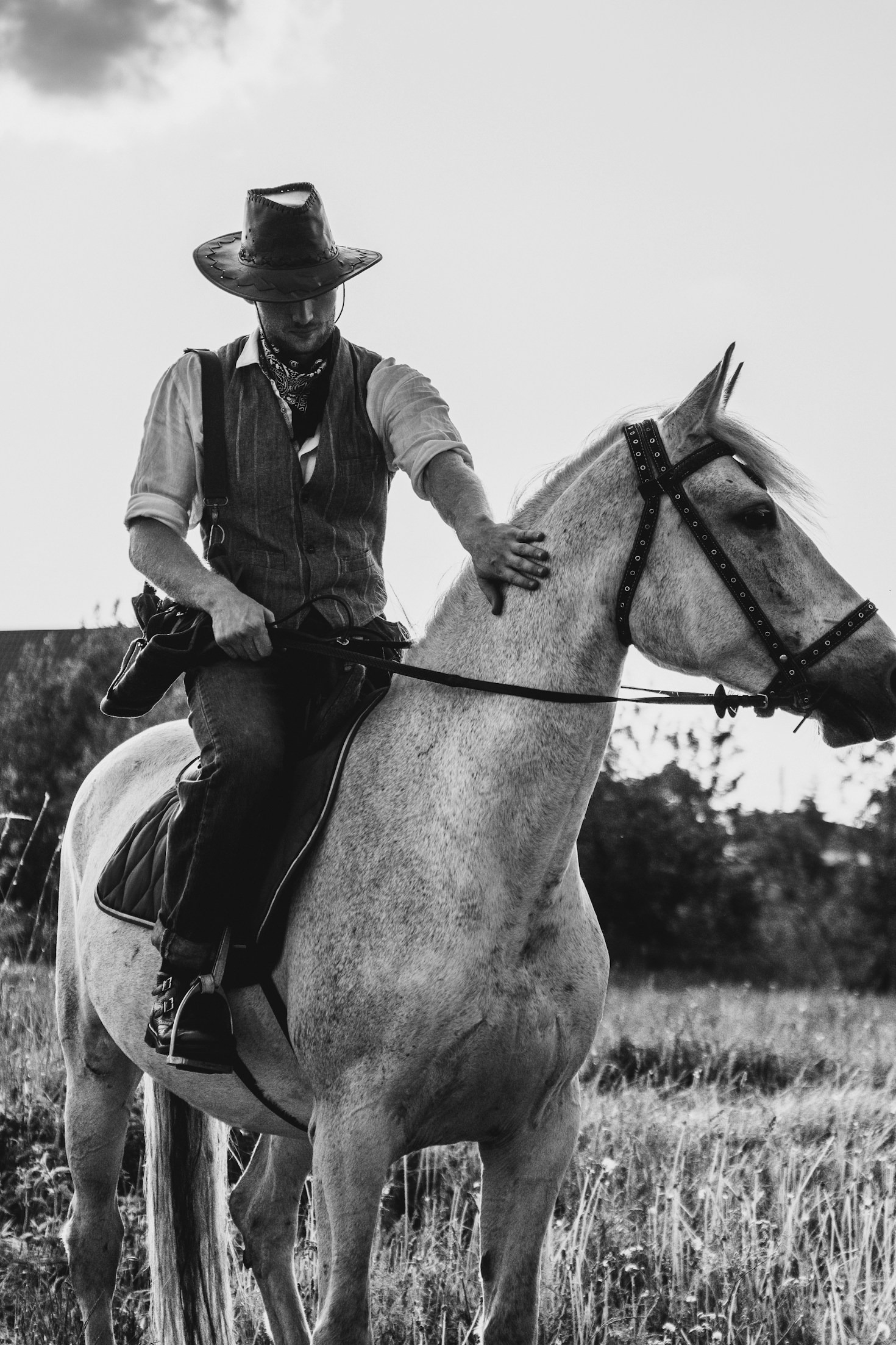 The Evolution of Country Style in the U.S.: Trends